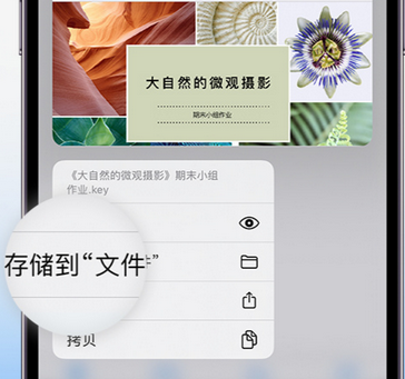 君山apple维修中心分享iPhone文件应用中存储和找到下载文件