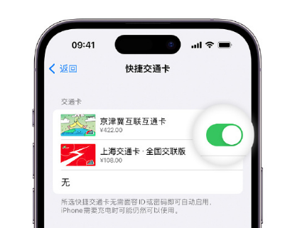 君山apple维修点分享iPhone上更换Apple Pay快捷交通卡手绘卡面 