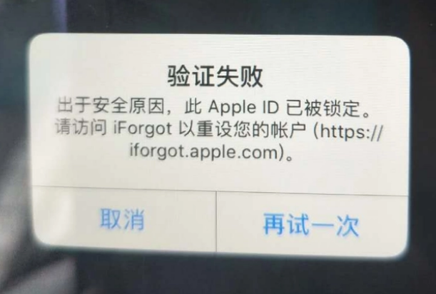 君山iPhone维修分享iPhone上正常登录或使用AppleID怎么办 