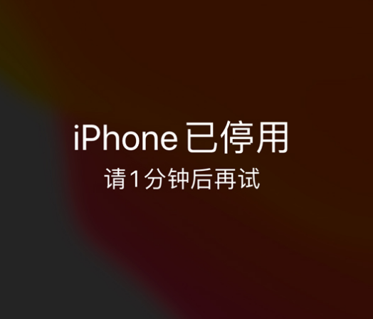 君山苹果手机维修分享:iPhone 显示“不可用”或“已停用”怎么办？还能保留数据吗？ 