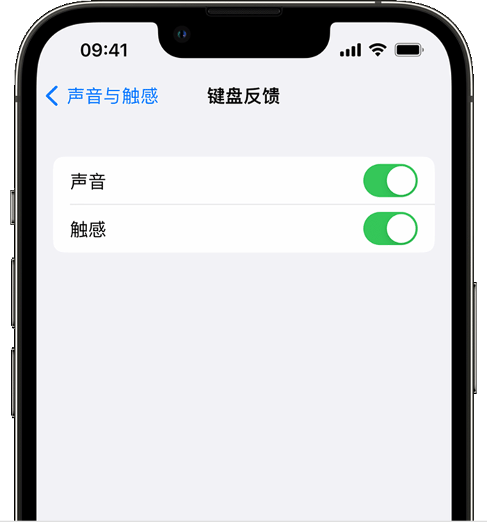 君山苹果14维修店分享如何在 iPhone 14 机型中使用触感键盘 