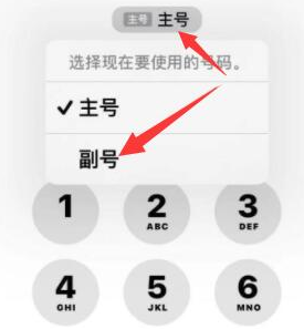 君山苹果14维修店分享iPhone 14 Pro Max使用副卡打电话的方法 