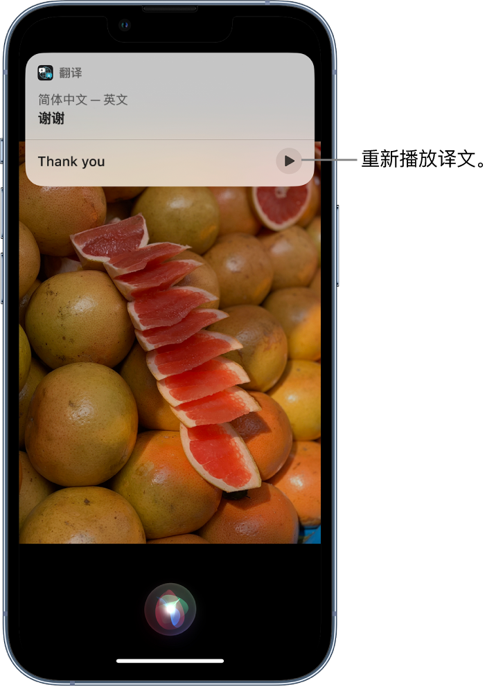 君山苹果14维修分享 iPhone 14 机型中使用 Siri：了解 Siri 能帮你做什么 