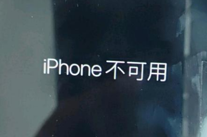 君山苹果服务网点分享锁屏界面显示“iPhone 不可用”如何解决 