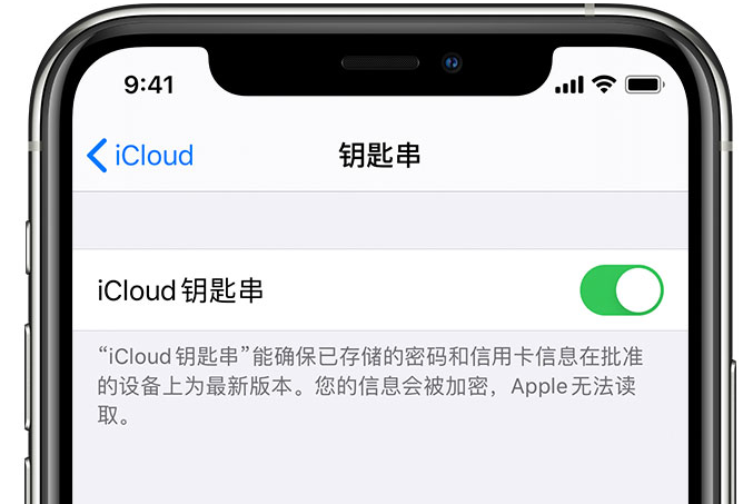 君山苹果手机维修分享在 iPhone 上开启 iCloud 钥匙串之后会储存哪些信息 