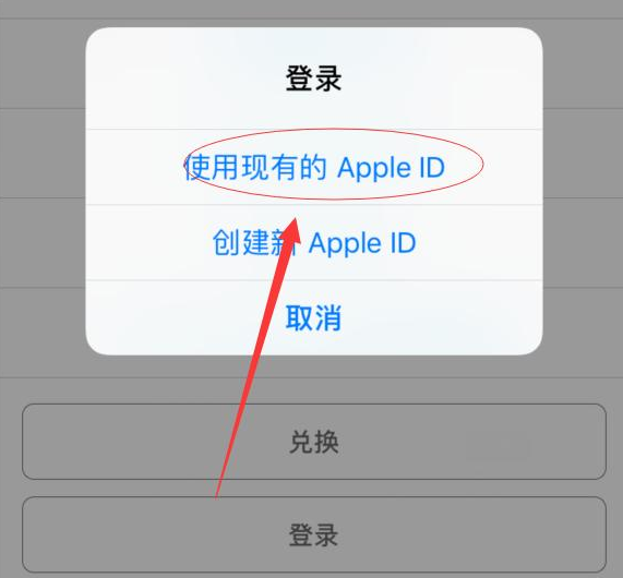 君山苹果手机维修分享两台iPhone设备可以同时登录一个Apple ID吗 