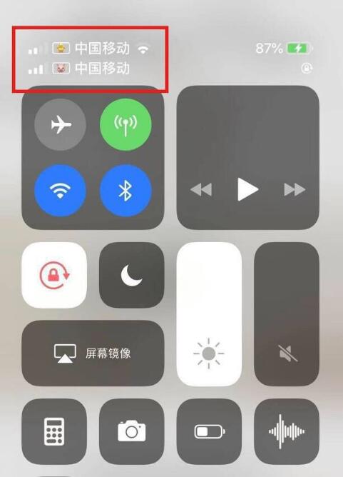 君山苹果手机维修分享为 iPhone 12 双卡设置标签 