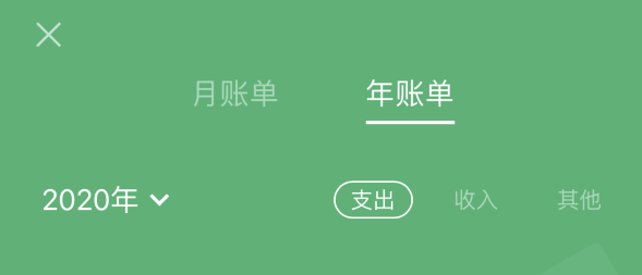 君山苹果手机维修分享如何在 iPhone 上查看支付宝和微信年支出账单 