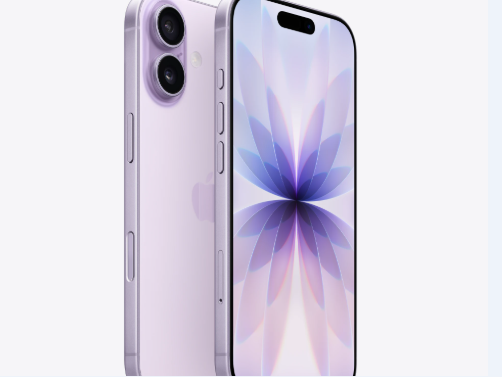 君山苹果维修点分享iPhone 17锁屏密码使用参考 